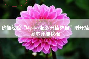 秒懂经验“hhpoker怎么开挂教程	”附开挂脚本详细教程