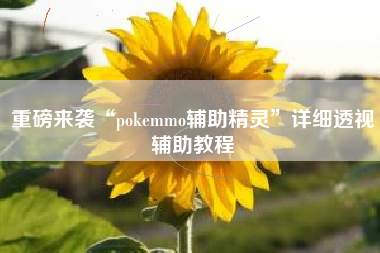 重磅来袭“pokemmo辅助精灵”详细透视辅助教程
