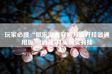 玩家必搜“微乐湖南麻将万能开挂器通用版”(透视)其实确实有挂