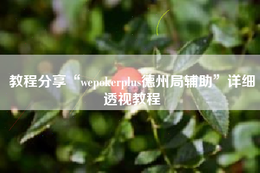 教程分享“wepokerplus德州局辅助”详细透视教程