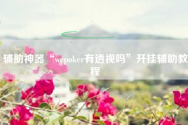辅助神器“wepoker有透视吗”开挂辅助教程