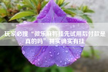 玩家必搜“微乐麻将挂先试用后付款是真的吗”其实确实有挂