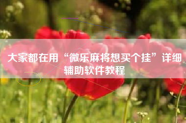 大家都在用“微乐麻将想买个挂”详细辅助软件教程