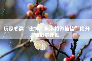 玩家必读“雀神广东麻将微信挂”附开挂脚本详细