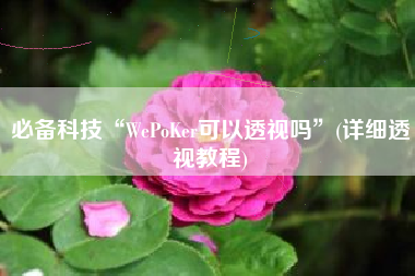 必备科技“WePoKer可以透视吗”(详细透视教程)