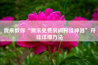 我来教你“微乐免费房间开挂神器	”开挂详细方法