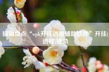 辅助盘点“wpk开挂透视辅助软件	”开挂(透视)辅助