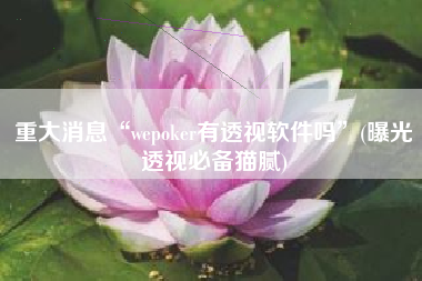 重大消息“wepoker有透视软件吗”(曝光透视必备猫腻)