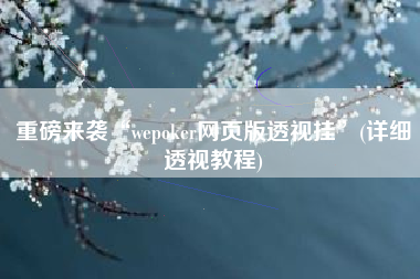 重磅来袭“wepoker网页版透视挂”(详细透视教程)