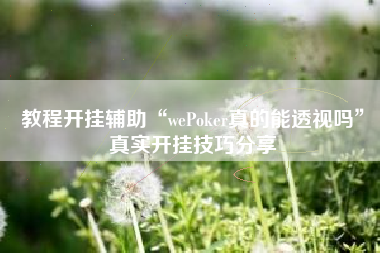 教程开挂辅助“wePoker真的能透视吗”真实开挂技巧分享