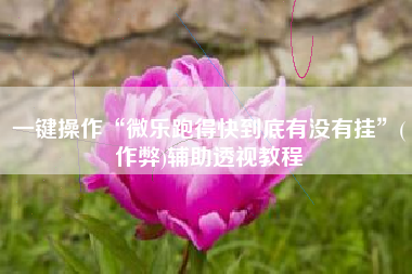 一键操作“微乐跑得快到底有没有挂	”(作弊)辅助透视教程