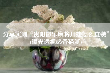 分享实测“贵阳微乐麻将开挂怎么安装	”(曝光透视必备猫腻)