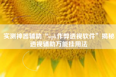 实测神器辅助“wpk作弊透视软件”揭秘透视辅助万能挂用法