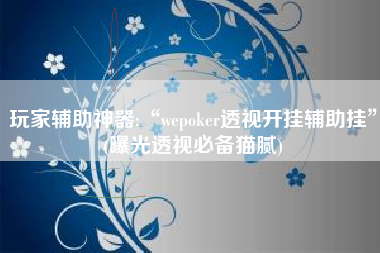 玩家辅助神器:“wepoker透视开挂辅助挂”(曝光透视必备猫腻)