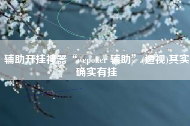 辅助开挂神器“wepoker 辅助	”(透视)其实确实有挂