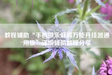 教程辅助“手机微乐麻将万能开挂器通用版”详细辅助教程分享