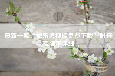 最新一款“微乐透视挂免费下载	”附开挂脚本详细