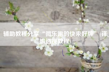 辅助教程分享“微乐跑的快来好牌	”(详细透视教程)