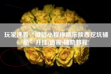 玩家速看“微信小程序微乐陕西挖坑辅助”开挂(透视)辅助教程!