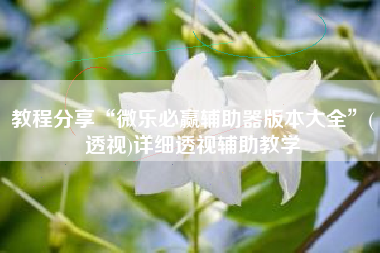 教程分享“微乐必赢辅助器版本大全”(透视)详细透视辅助教学