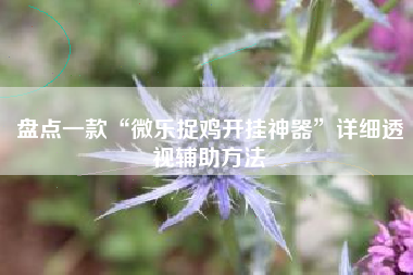 盘点一款“微乐捉鸡开挂神器”详细透视辅助方法