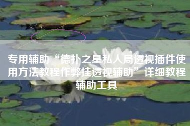 专用辅助“德扑之星私人局透视插件使用方法教程作弊挂透视辅助”详细教程辅助工具