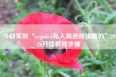 今日实测“wepoker私人局透视挂真的”2026开挂教程步骤