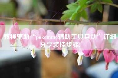 教程辅助“pokemmo辅助工具自动”详细分享装挂步骤!