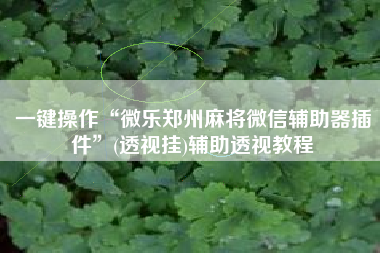 一键操作“微乐郑州麻将微信辅助器插件”(透视挂)辅助透视教程