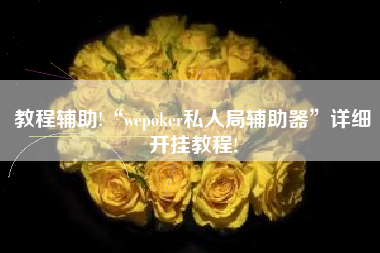 教程辅助!“wepoker私人局辅助器”详细开挂教程!