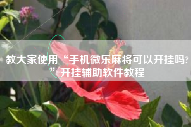 教大家使用“手机微乐麻将可以开挂吗?”开挂辅助软件教程