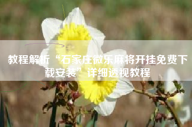 教程解析“石家庄微乐麻将开挂免费下载安装	”详细透视教程