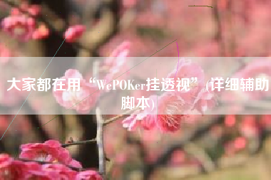 大家都在用“WePOKer挂透视”(详细辅助脚本)