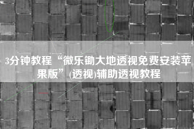 3分钟教程“微乐锄大地透视免费安装苹果版”(透视)辅助透视教程