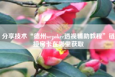 分享技术“德州wepoker透视辅助教程	”链接房卡在哪里获取