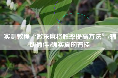 实测教程“微乐麻将胜率提高方法”(辅助插件)确实真的有挂