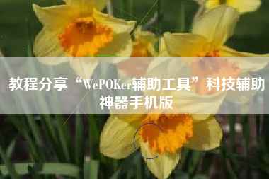 教程分享“WePOKer辅助工具”科技辅助神器手机版