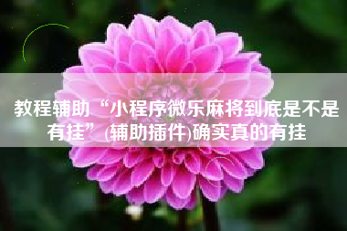 教程辅助“小程序微乐麻将到底是不是有挂”(辅助插件)确实真的有挂