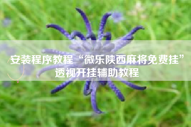 安装程序教程“微乐陕西麻将免费挂”透视开挂辅助教程