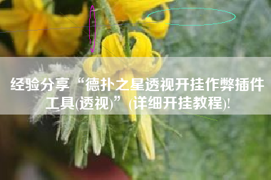 经验分享“德扑之星透视开挂作弊插件工具(透视)”(详细开挂教程)!