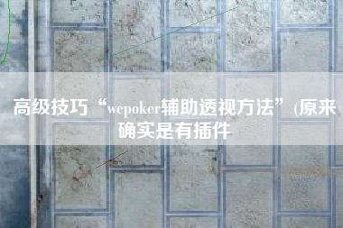 高级技巧“wepoker辅助透视方法	”(原来确实是有插件