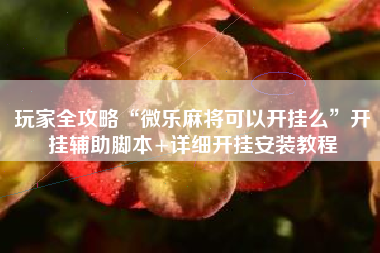 玩家全攻略“微乐麻将可以开挂么	”开挂辅助脚本+详细开挂安装教程