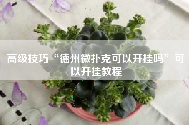 高级技巧“德州微扑克可以开挂吗”可以开挂教程