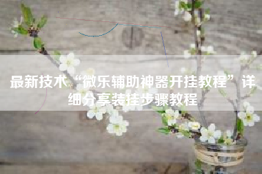 最新技术“微乐辅助神器开挂教程”详细分享装挂步骤教程