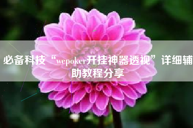 必备科技“wepoker开挂神器透视”详细辅助教程分享