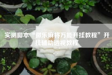 实测脚本“微乐麻将万能开挂教程”开挂辅助透视教程