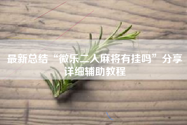 最新总结“微乐二人麻将有挂吗”分享详细辅助教程