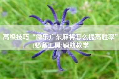 高级技巧“微乐广东麻将怎么提高胜率”(必备工具)辅助教学