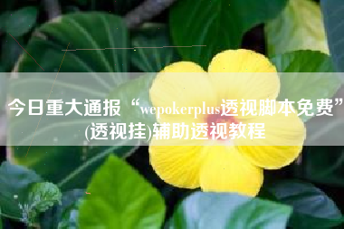 今日重大通报“wepokerplus透视脚本免费”(透视挂)辅助透视教程