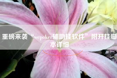 重磅来袭“wepoker辅助挂软件”附开挂脚本详细